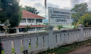 Oplus_16908288